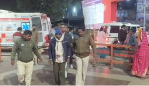 उमरिया भालू हमला, बुजुर्ग घायल, जंगल भालू खतरा, ग्रामीण अलर्ट, वन विभाग सुरक्षा उपाय