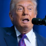 ट्रंप 10 प्रतिशत टैरिफ, वैश्विक टैरिफ, भारत पर असर, उत्तर प्रदेश निर्यात, अमेरिका भारत व्यापार, यूपी उद्योग