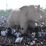 बसपा 2027 रणनीति, यूपी राजनीति, ब्राह्मण वोट बैंक, सोशल इंजीनियरिंग, मायावती, यूपी विधानसभा चुनाव 2027