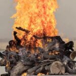 UP News, अलीगढ़ छात्रा, आगरा शमशान घाट चौराहा, 12वीं की छात्रा लापता, परीक्षा देने निकली, पुलिस जांच