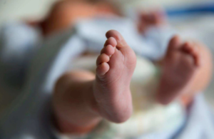 Prayagraj Crime News, Prayagraj Child Death Case, UP Crime News Prayagraj, Family Dispute Crime, Prayagraj Police Investigation