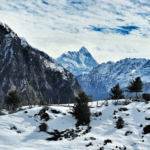 उत्तराखंड मौसम, Uttarakhand rain snowfall, उत्तराखंड बारिश खबर, जंगल की आग उत्तराखंड, Uttarakhand environment news