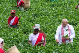डिब्रूगढ़ चाय बागान, असम चाय उद्योग, tea garden Assam, tea workers India, Assam culture, चाय बागान श्रमिक