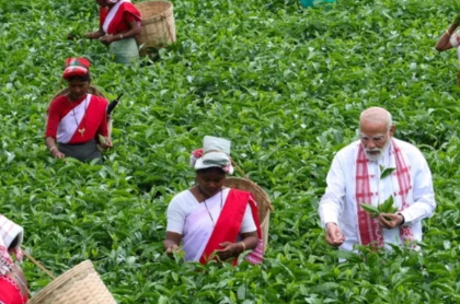 डिब्रूगढ़ चाय बागान, असम चाय उद्योग, tea garden Assam, tea workers India, Assam culture, चाय बागान श्रमिक