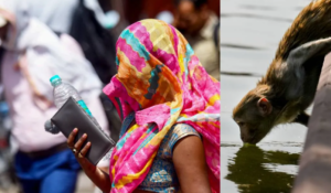 भारत में गर्मी, हीटवेव अलर्ट, यूपी तापमान, 44 डिग्री तापमान, मौसम विभाग चेतावनी