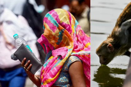 भारत में गर्मी, हीटवेव अलर्ट, यूपी तापमान, 44 डिग्री तापमान, मौसम विभाग चेतावनी