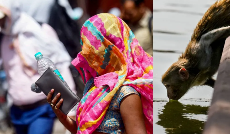 भारत में गर्मी, हीटवेव अलर्ट, यूपी तापमान, 44 डिग्री तापमान, मौसम विभाग चेतावनी