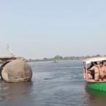 यमुना नाव हादसा, यूपी नाव दुर्घटना, यमुना नदी हादसा, नाव पलटने की खबर, उत्तर प्रदेश ब्रेकिंग न्यूज