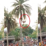 ओडिशा हादसा, चड़क पूजा, मलकानगिरी न्यूज, धार्मिक हादसा, पेड़ से गिरने की घटना