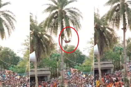ओडिशा हादसा, चड़क पूजा, मलकानगिरी न्यूज, धार्मिक हादसा, पेड़ से गिरने की घटना