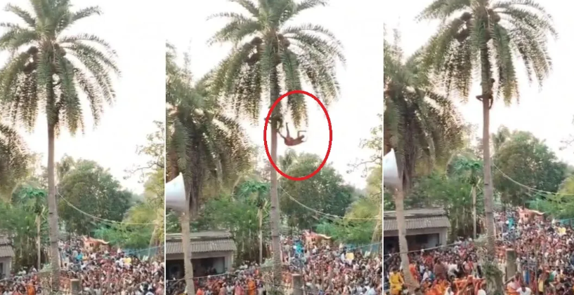 ओडिशा हादसा, चड़क पूजा, मलकानगिरी न्यूज, धार्मिक हादसा, पेड़ से गिरने की घटना