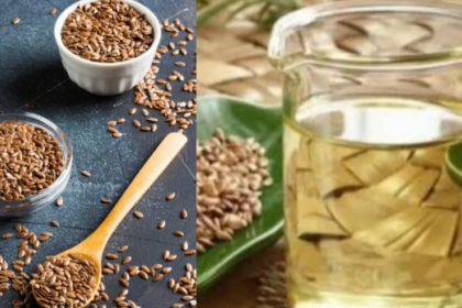 अलसी का पानी, flax seeds water benefits, वेट लॉस टिप्स, गट हेल्थ, घरेलू नुस्खे, हेल्दी ड्रिंक, अलसी के फायदे