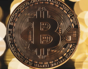 बिटकॉइन घोटाला, GainBitcoin स्कैम, डार्विन लैब्स गिरफ्तारी, CBI कार्रवाई, क्रिप्टो फ्रॉड भारत, 20000 करोड़ स्कैम, आयुष वर्ष्नेय, Ponzi स्कीम