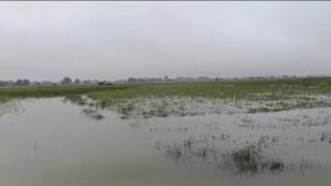 फर्रुखाबाद में 48 घंटे से बारिश