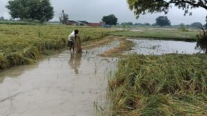 फर्रुखाबाद में 48 घंटे से बारिश