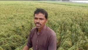 फर्रुखाबाद में 48 घंटे से बारिश
