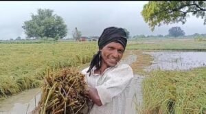 फर्रुखाबाद में 48 घंटे से बारिश