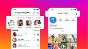 क्या ग्रे टिक से घट रही Reach? जानें सच