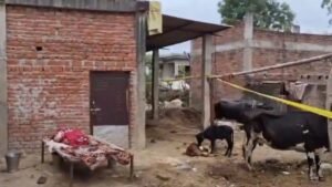 प्रयागराज में जमीन के नीचे मिले नोटों से भरे तीन ड्रम