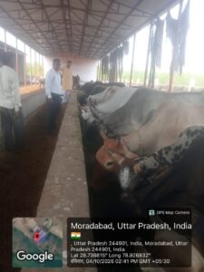 मुरादाबाद में सेवा संकल्प अभियान