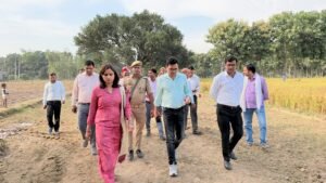 फर्रुखाबाद में डीएम ने कराई धान की क्रॉप कटिंग